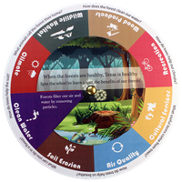 Forest Benefits Wheel